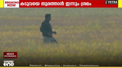 വയനാട് ജനവാസ മേഖലയിൽ ഇറങ്ങിയ കടുവയെ കാടുകയറ്റാനായില്ല; ദൗത്യം തുടരുന്നു