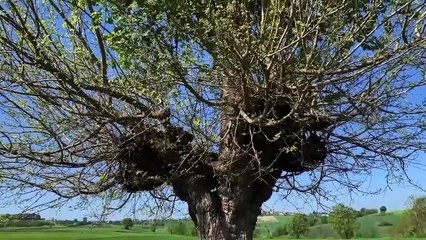 Lugares más extraños del mundo