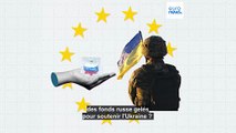Les Européens sont-ils favorables à l'utilisation de l'argent russe gelé pour soutenir l'Ukraine ?