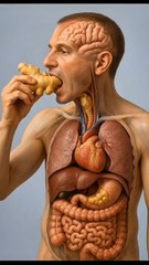 what happend when you eat payper inside body#health#body#new 2025