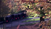 The Amish: Shunned | movie | 2014 | Official Trailer