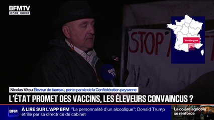 "750.000 bovins" vaccinés contre la DNC: "Nous sommes très loin du but à atteindre", estime Nicolas Vitou, éleveur de taureau et porte-parole de la Confédération paysanne