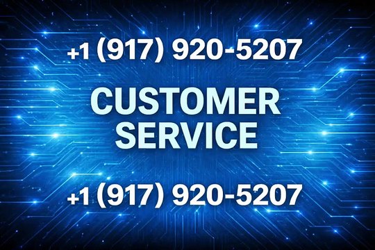 Trust Wallet Customer Service Guide — Support Options & Common Solutions