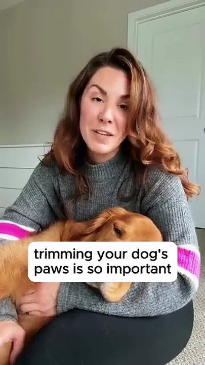Your pet will thank you for this