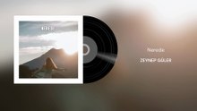 Zeynep Güler - Nerede (Official Audio)