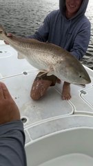 🎣 Hilarious Bull Redfish Spawns ALL OVER Me! | Epic Fishing Fail & Creamed Legs