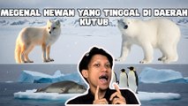 Mengenal Hewan yang Tinggal di Daerah Kutub-Serius Ini Hewan?