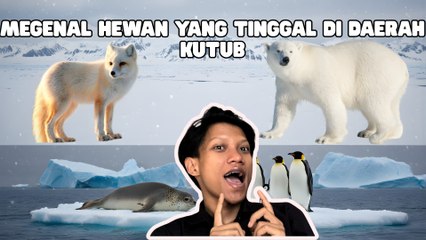 Mengenal Hewan yang Tinggal di Daerah Kutub-Serius Ini Hewan?