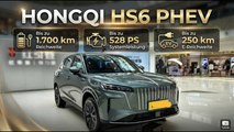 Luxus, Technik & Style: Das ist der neue Hongqi HS6 PHEV