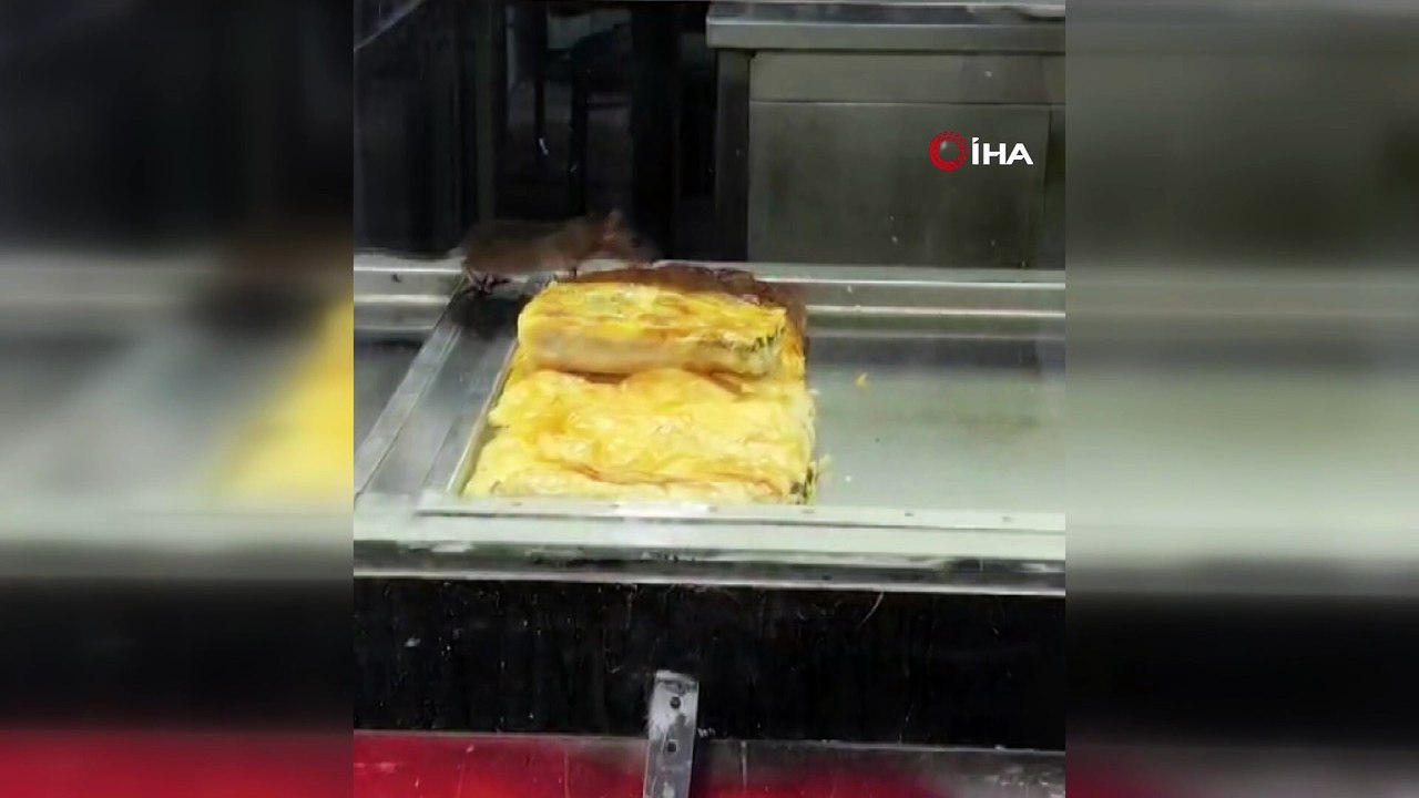İzmir'den iğrenç görüntü: Börek tezgahlarında fare cirit attı