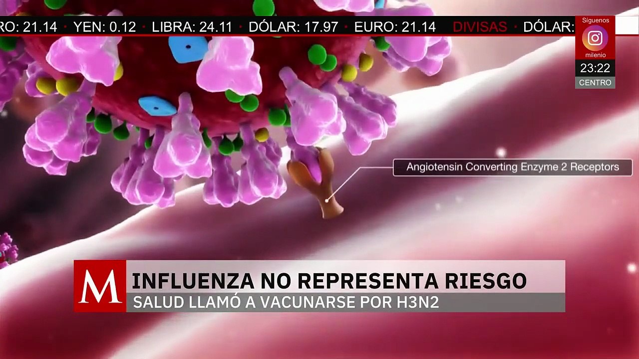 Secretaría de Salud descarta riesgo por influenza H3N2 en México