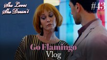 Go Flamingo Vlog #43