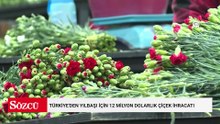 Türkiye'den yılbaşı için 12 milyon dolarlık çiçek ihracatı