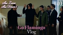 Go Flamingo Vlog #40