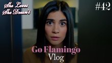 Go Flamingo Vlog #42