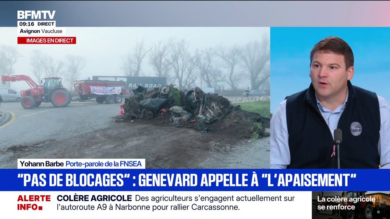Mercosur: "La France ne peut pas être gagnante quand on importe une partie de l'agriculture qu'on ne veut pas chez nous", affirme Yohann Barbe, porte-parole de la FNSEA