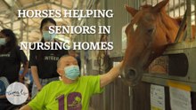 How Horses Are Helping Seniors In A Nursing Home