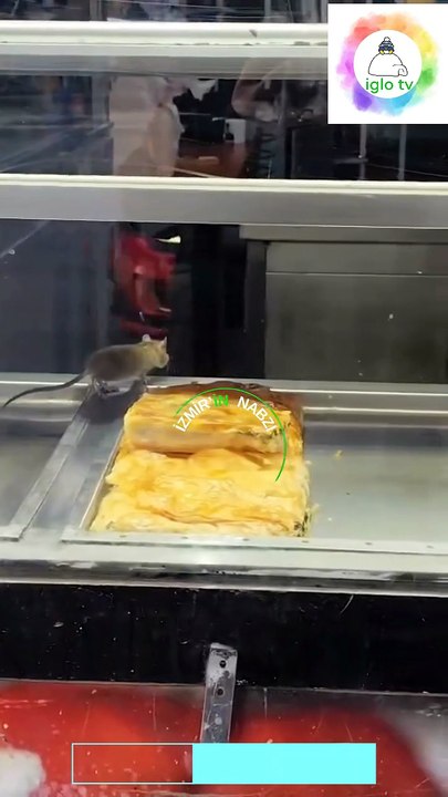 Börekçiye Giren Gurme Fare !
