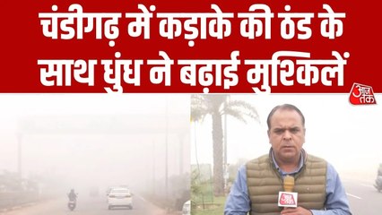 चंडीगढ़ में घनी धुंध के कारण शहर की रफ्तार हुई धीमी, देखें ग्राउंड रिपोर्ट