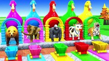 Long Slide Game with Cow, Elephant, Gorilla, Hippo & Tiger  Funny 3D Animal Game