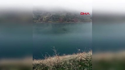 Dağ keçisi baraj gölünü yüzerek geçti; o anlar kamerada