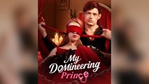 My Domineering Prince