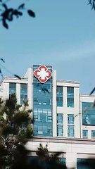 Parting Ways, Parting Hearts – FULL Movie HD (2025) | A Heartbreaking Story of Lost Love