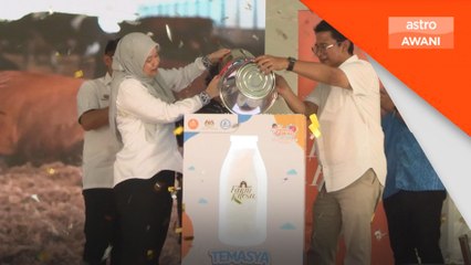 Temasya Hari Susu Sekolah 2025: Farm Fresh bina murid sihat