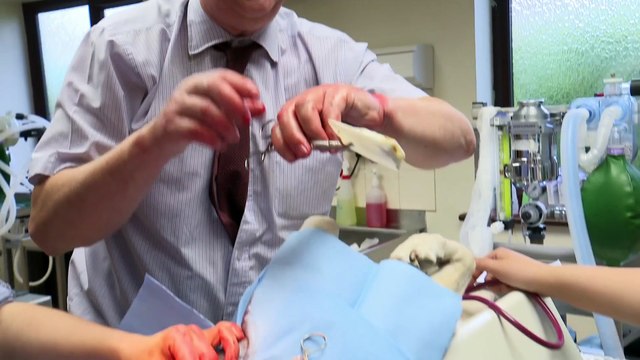 the yorkshire vet s21e00 a decade in the moors and dales