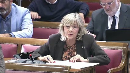 Cerdán sostiene en el Senado su inocencia y que los audios que le culpan están manipulados