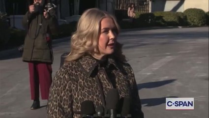 Karoline Leavitt calls out ‘disingenuous’ Vanity Fair article after Susie Wiles’ Trump interview as writer fires back