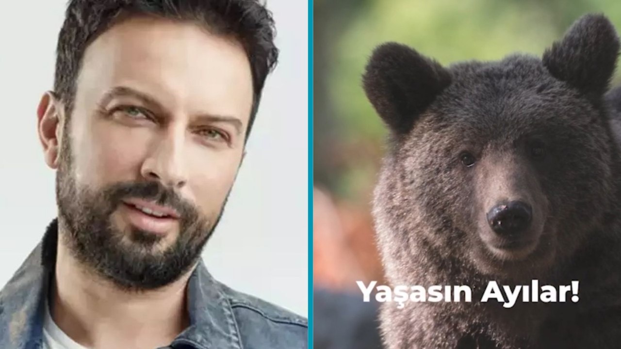 Tarkan’dan vicdan çağrısı: Avcılık tamamen yasaklansın!