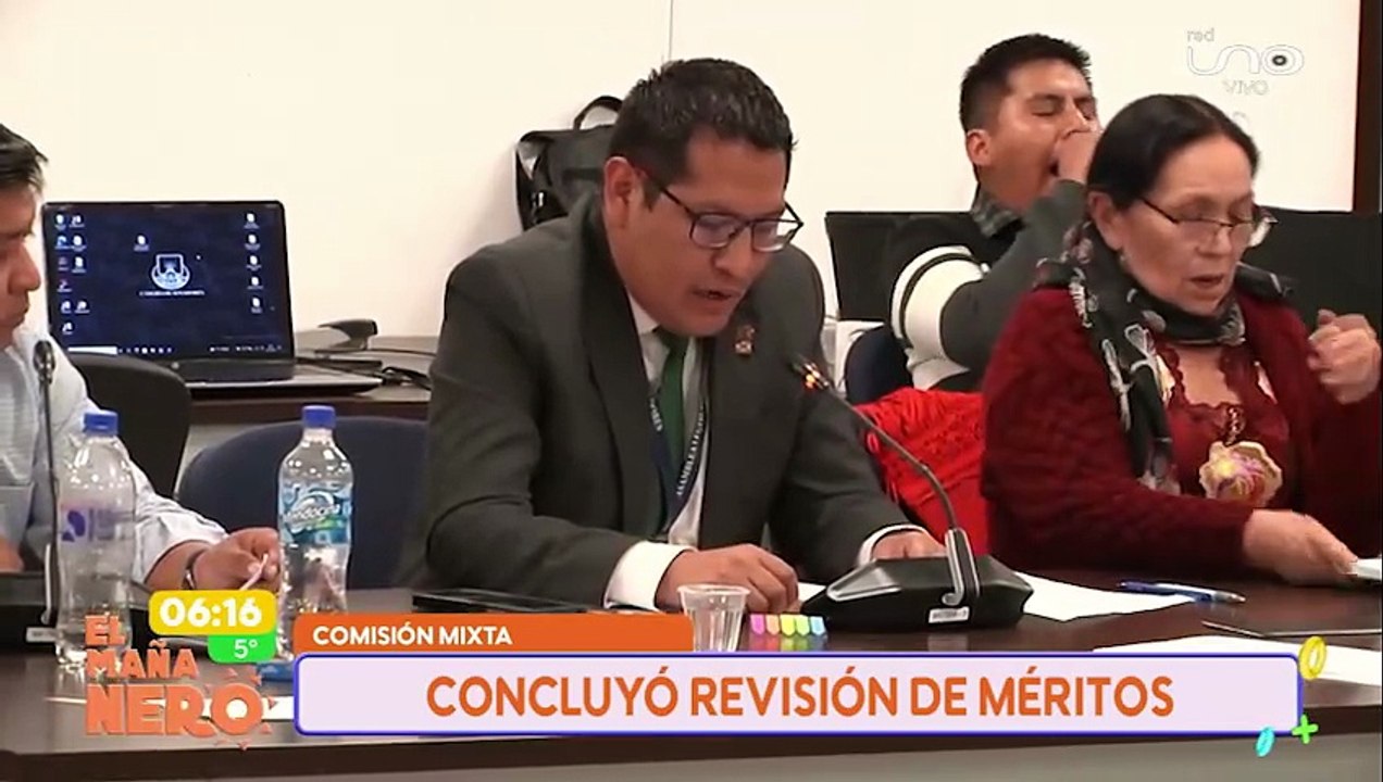 REVISION DE MERITOS