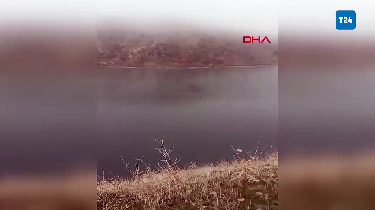 Dağ keçisinin baraj gölündeki yolculuğu: Bingöl’den Elazığ’a yüzerek geçti