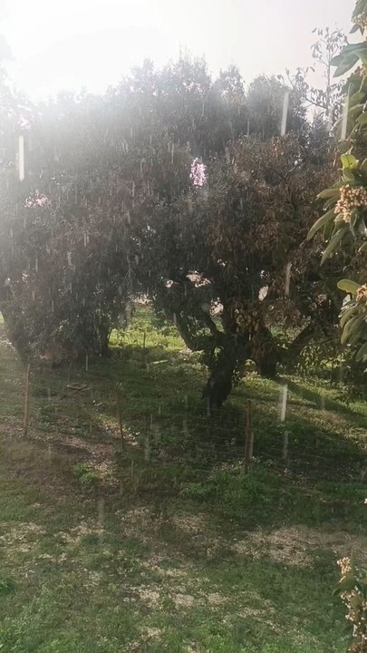 lluvia con Sol