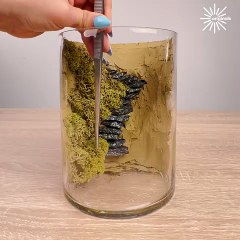 Creating a mini forest inside a glass jar! 🌳🌱