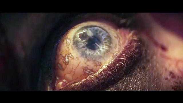 Ce RPG qui sortira en 2026 ne sera pas politiquement correct , après une décision prise par les créateurs de Lords of the Fallen 2 !