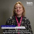 Quelle est la place de la France et de l'Europe dans le contexte économique mondial ? Interview de Sylvie Matelly, directrice de l'Institut Jacques Delors