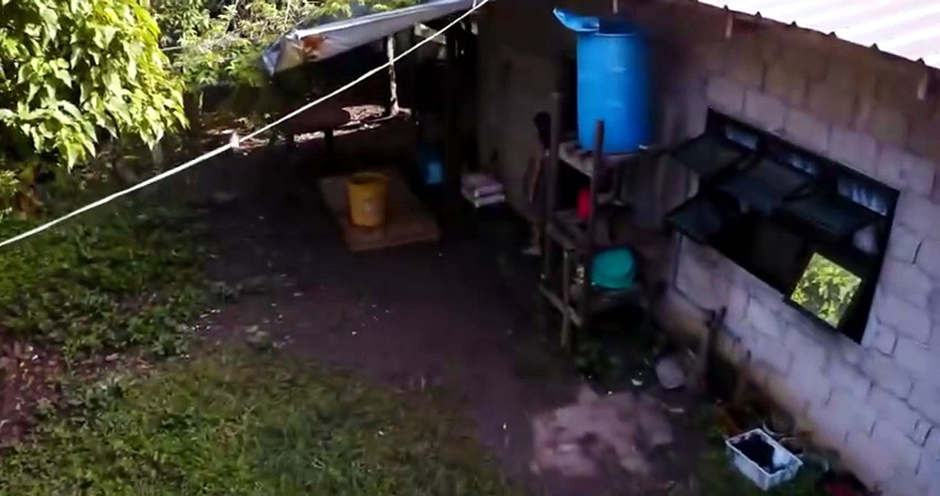 Ligaw Na Bulaklak 2023 720p (Philippines) ESubs.