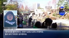 판다 중국 반환 소식에…일본, 관람 대기 4시간