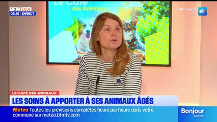 Bonjour Lille du mercredi 17 décembre 2025