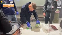 Sequestrati all'aeroporto di Malpensa oltre 18 mila farmaci illegali