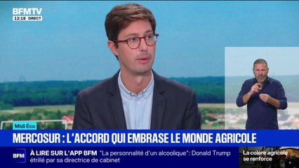 Mercosur: ce qu'il faut savoir sur le traité de libre-échange qui embrase le monde agricole