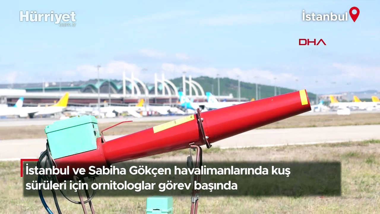 İstanbul ve Sabiha Gökçen havalimanlarında kuş sürüleri için ornitologlar görev başında