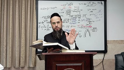 מו"ר הגאון הרב שקד בוהדנה שליט"א עץ חיים - מחזור אלעד: היכל א"ק שער ב' ענף א'