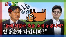 [돌발영상] "돌에 처맞아 죽을 소가 누굽니까? 한동훈과 나입니까?" / YTN