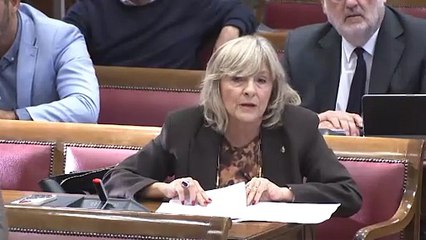 Alta tensión de Santos Cerdán con el PSOE en la comisión de investigación en el Senado
