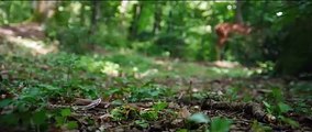 Redécouvrez le mythe de Bambi raconté par Mylène Farmer : bande-annonce