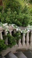 Mafia's Forbidden Catch - Full Movie