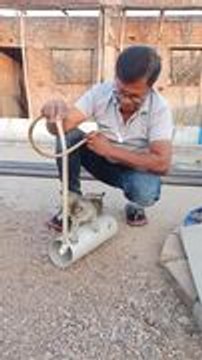Man Plays With Kittens Using Pipe